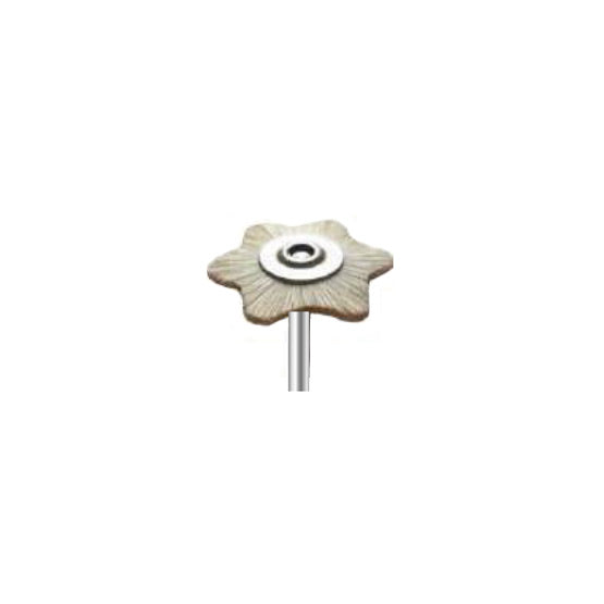 Brosses de polissage - Poils de chèvre blancs - Ø 22 mm - DIAN FONG - Dental Coop