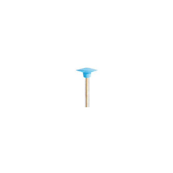 Fraises en silicone pour polir la céramique - Ø 13 mm x 2 mm - DIAN FONG - Dental Coop