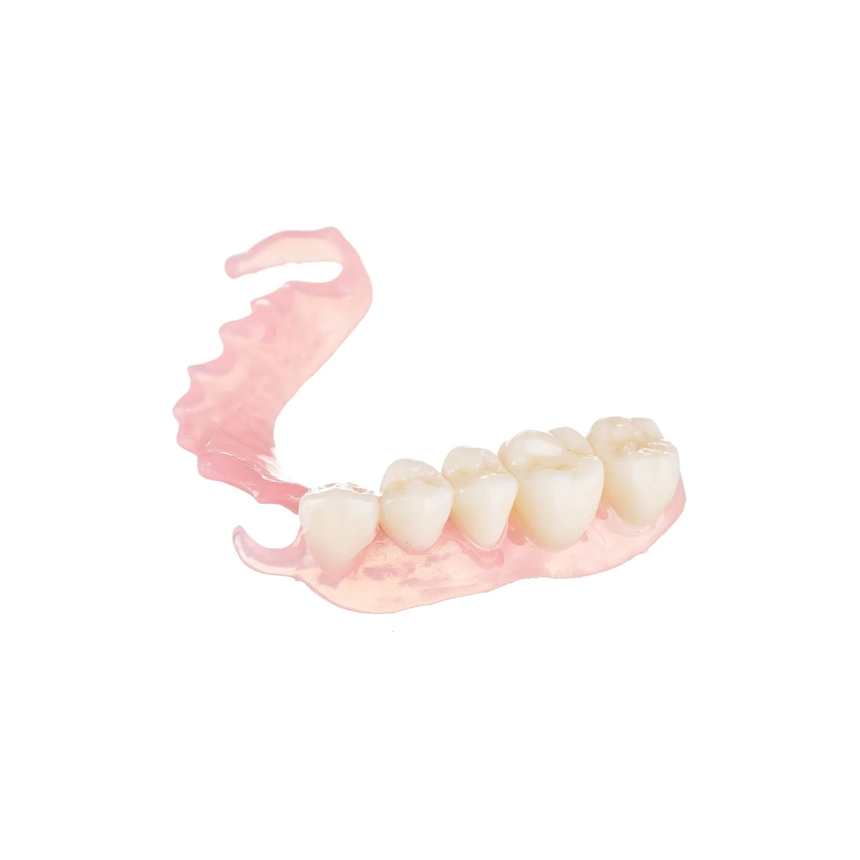 Résine 3D pour prothèses partielles et complètes 1kg - FLEXIBLE DENTURE II - ArmaResin - ootopfti.com