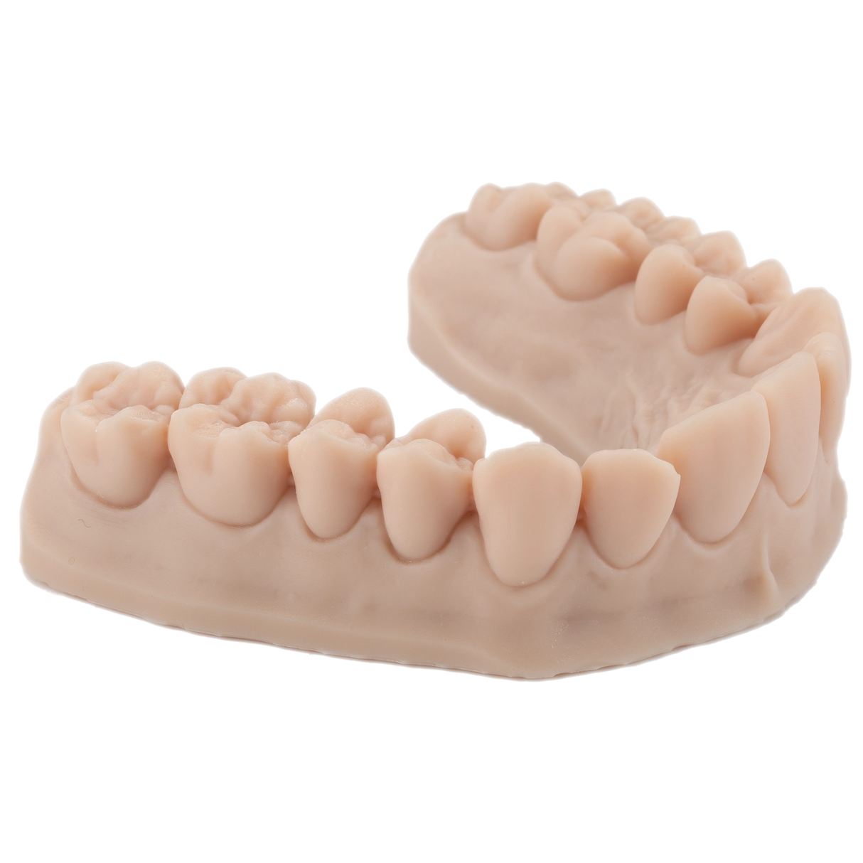 3D Dental Printing Resin for Models 1kg – DENTAL MODEL HP - ArmaResin