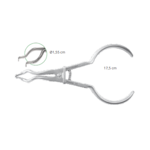 PINCE BREWER ORTHODONTIE & PROTHESES - DIGUES - 17,5 cm - ACTEON - ootopfti.com