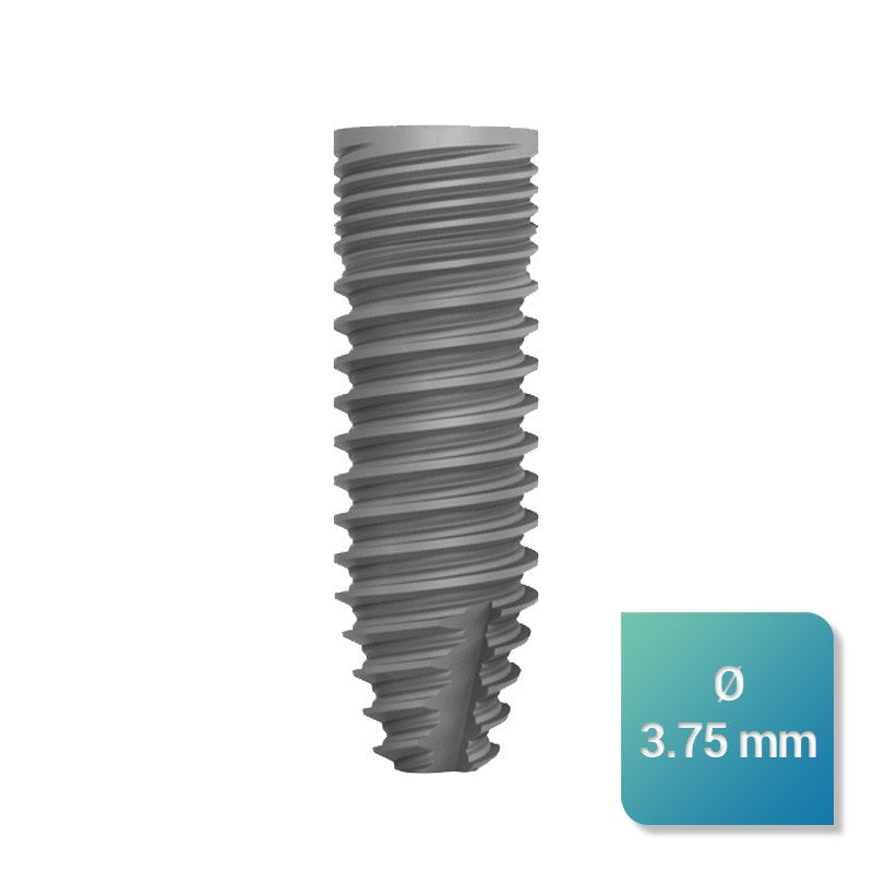 Safe Regular 3,75 mm de diamètre - ootopfti.com