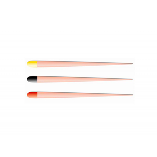 Pointes de gutta percha pour Reciproc (boîte de 60) - Dentsply Sirona - ootopfti.com