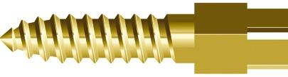 Screw-Posts doré - Kent Dental