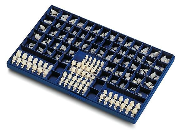 Couronnes polycarbonate - Kent Dental - ootopfti.com