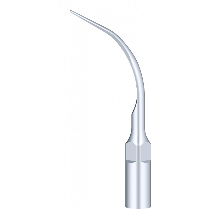 Insert PD7 compatible Satelec - WOODPECKER - ootopfti.com