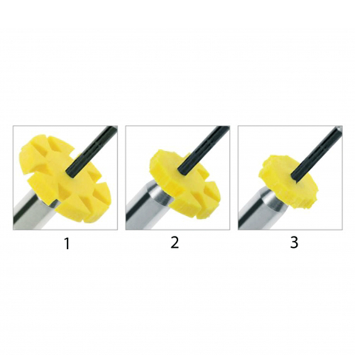 Safety Memo Disc (SMD) pour le contrôle de la fatigue cyclique des instruments rotatifs d'endodontie. Grâce à leur forme de papillon, ils sont idéals pour un contrôle visuel facile des utilisations de chaque instrument, ainsi que le risque de rupture par fatigue excessive. Retirez un pétale chaque fois que l'instrument est utilisé. Diamètre : 0,5 mm