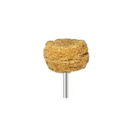 Brosses de polissage - Marron moyen - Ø 25 mm - Dian Fong - Dental Coop