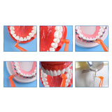 Brosse interproximale avec cure-dent x8 pièces - CoralClean - ootopfti.com