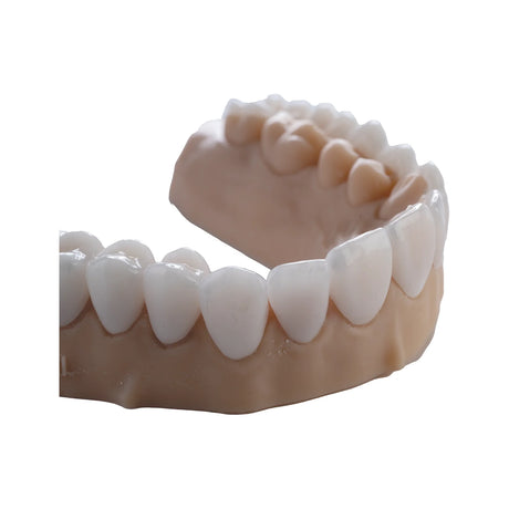 Résine 3D de calcinage pour céramiques pressées 1kg - DENTAL CAST - ArmaResin - ootopfti.com