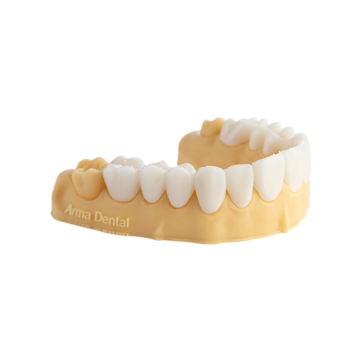 Résine d’impression 3D dentaire pour modèles 1kg – DENTAL MODEL HP - ArmaResin - ootopfti.com