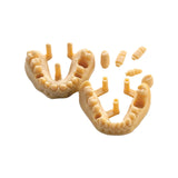 Résine d’impression 3D dentaire pour modèles 1kg – DENTAL MODEL HP - ArmaResin - ootopfti.com