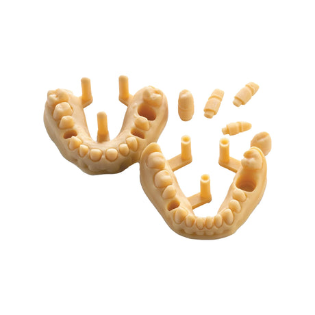Résine d’impression 3D dentaire pour modèles 1kg – DENTAL MODEL HP - ArmaResin - ootopfti.com