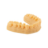 Résine d’impression 3D dentaire pour modèles 1kg – DENTAL MODEL HP - ArmaResin - ootopfti.com