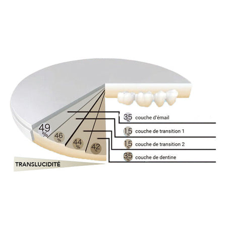 Disque zircone Ziris en teinte A, B,C ou D / Ø 98 mm - HUGE - ootopfti.com