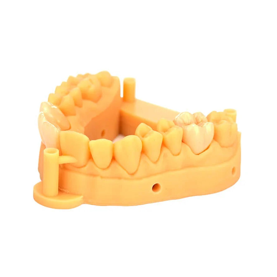 Résine pour model 3D - 1 kg - HUGE - ootopfti.com Résine 3D dentaire Huge 1kg pour imprimante LCD/DLP - Résine dentaire haute précision pour impression 3D - Résine 3D professionnelle pour dentisterie
