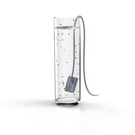 Capteur intra-oral X-ray sensor - XPECT VISION - ootopfti.com