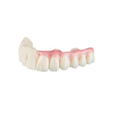 Résine 3D longue durée pour bridges implantaires provisoires 1kg - TEMP ULTRA - ArmaResin - ootopfti.com