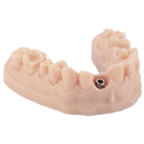 3D Dental Printing Resin for Models 1kg – DENTAL MODEL HP - ArmaResin