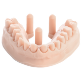 3D Dental Printing Resin for Models 1kg – DENTAL MODEL HP - ArmaResin