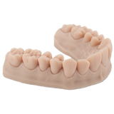 3D Dental Printing Resin for Models 1kg – DENTAL MODEL HP - ArmaResin