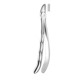 Davier prémolaires supérieures - ootopfti.com