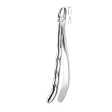 Davier molaires supérieures droite - ootopfti.com
