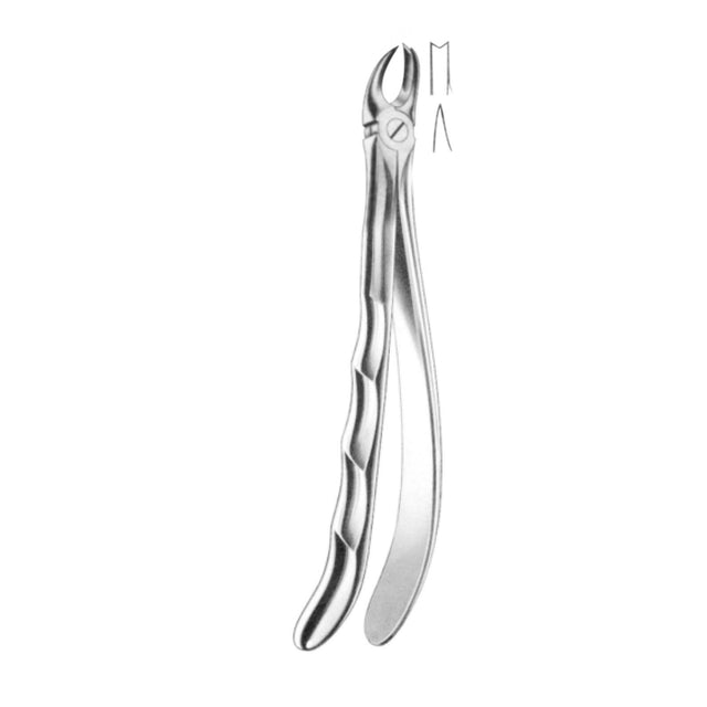 Davier molaires supérieures droite - ootopfti.com