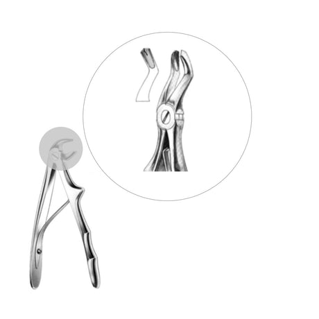 Davier racines supérieures - ootopfti.com