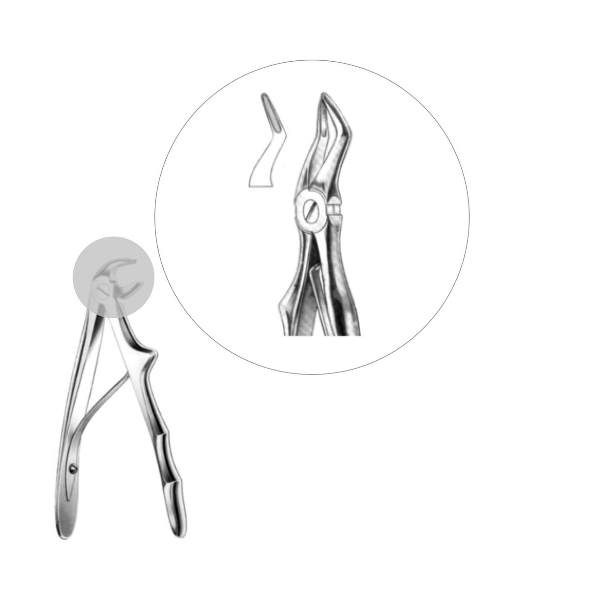 Davier racines supérieures - ootopfti.com