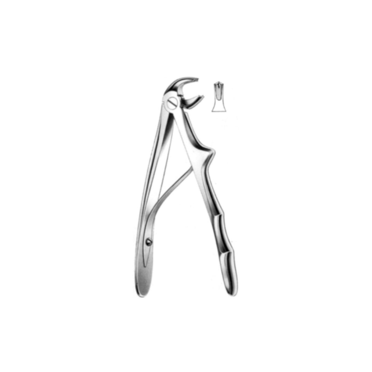 Davier molaires inférieures - ootopfti.com