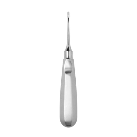 Elévateur apical droit - ootopfti.com