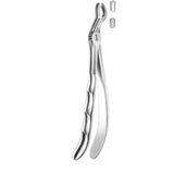 Davier troisième molaire supérieure gauche - ootopfti.com