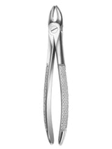 Davier incisives et canines supérieures - ootopfti.com