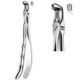 Davier troisième molaire inférieure (dent de sagesse) - ootopfti.com