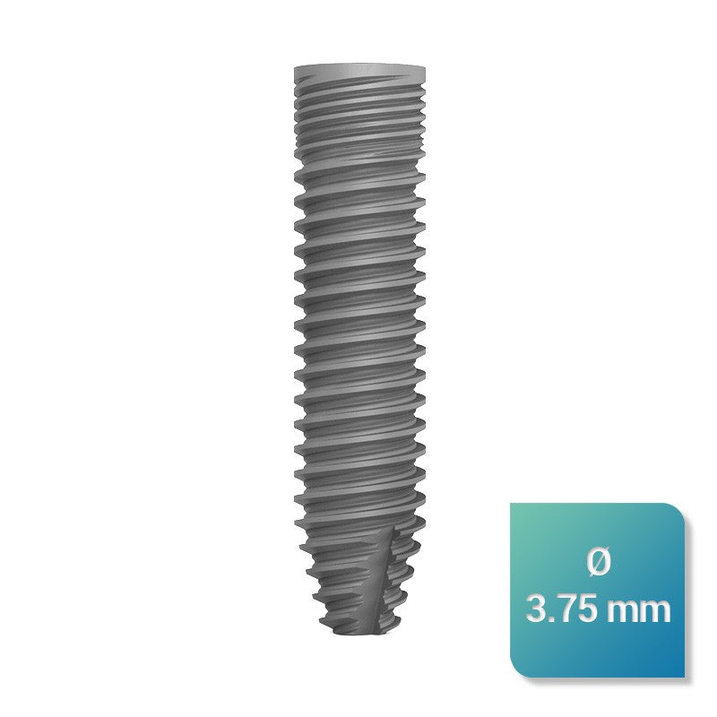 Safe Regular 3,75 mm de diamètre - ootopfti.com