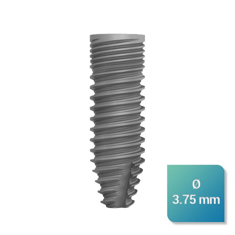Safe Regular 3,75 mm de diamètre - ootopfti.com
