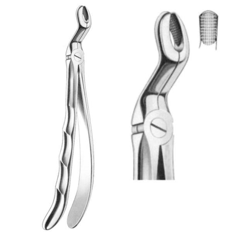 Davier pour troisième molaire supérieure (dent de sagesse) - ootopfti.com