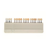 Teintier A-D Shade Guide - Ivoclar Vivadent - ootopfti.com