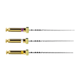 Pack de 6 limes PathFile 21 mm - Dentsply Sirona - ootopfti.com