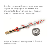 Pack de 6 imes ProTaper Next 31 mm - Dentsply Sirona - ootopfti.com