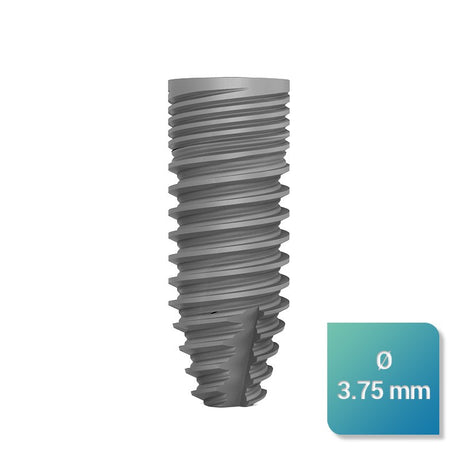 Safe Regular 3,75 mm de diamètre - ootopfti.com