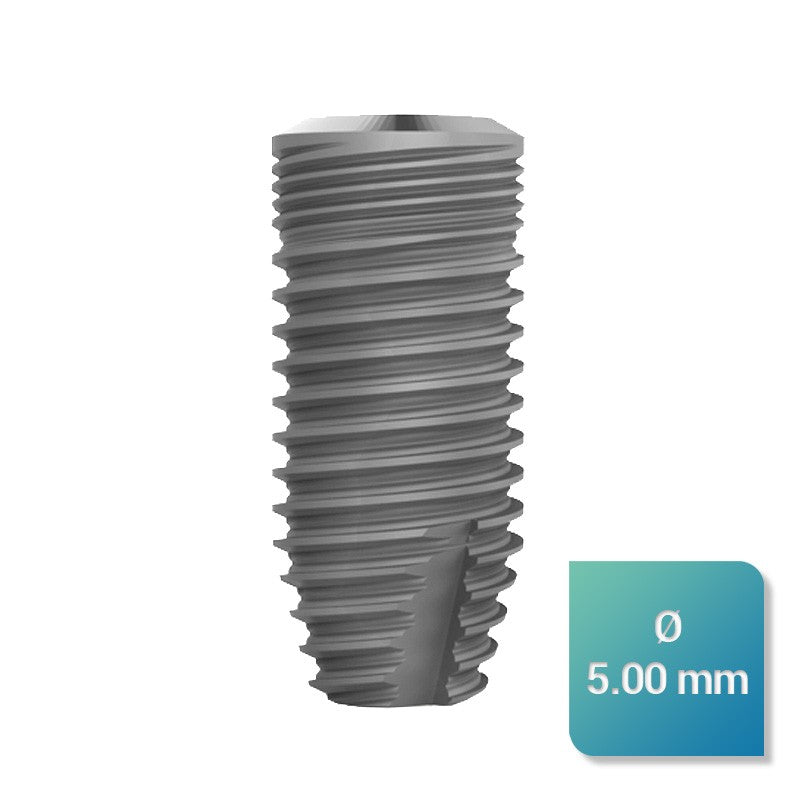 Safe Regular 5,00 mm de diamètre - ootopfti.com