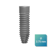 Safe Regular 3,75 mm de diamètre - ootopfti.com