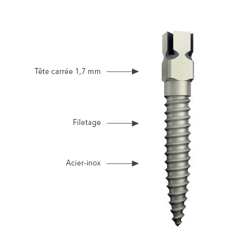 Europosts Pino de parafuso em inox - Anthogyr