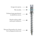 Poste de tornillo de titanio Europosts - Anthogyr