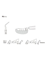Insert PD5 compatible Satelec - WOODPECKER - ootopfti.com