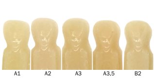Escom 250 - 5 seringues de 4g  Résine composite nano-hybride restauratrice photopolymérisable - ootopfti.com