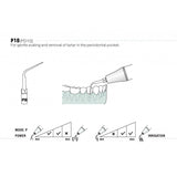 Insert PD10 compatible Satelec - WOODPECKER - ootopfti.com