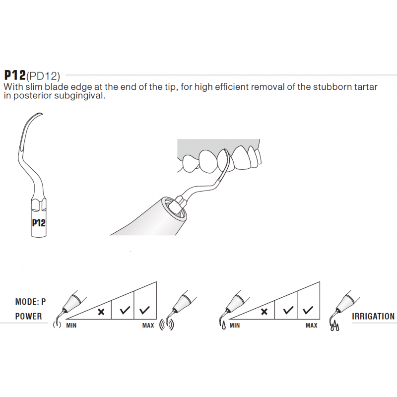 Insert PD12 compatible Satelec - WOODPECKER - ootopfti.com